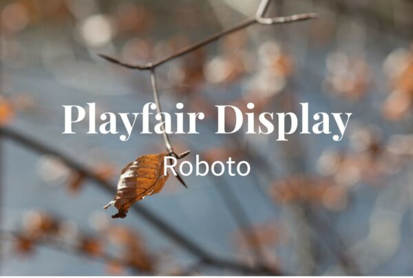 Schriftkombination Playfair Display Roboto