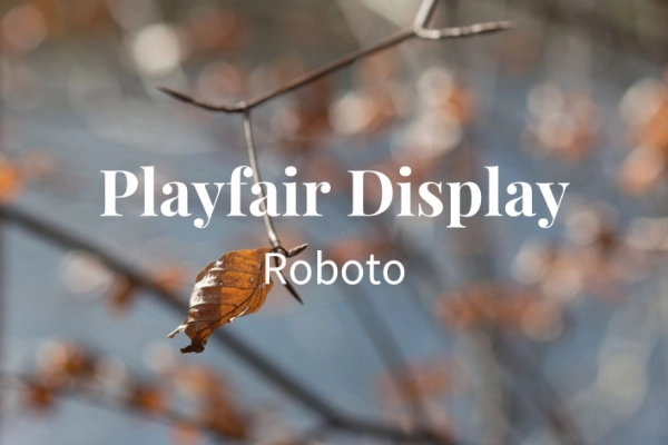 Schriftkombination Playfair Display Roboto