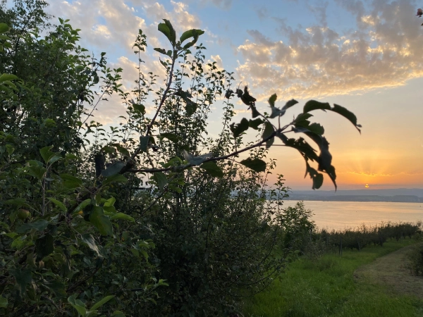 Danke: Sonnenuntergang Freudenberg